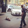 [UPDATE] Dog Shot By NYPD In East Village Was Also Pepper-Sprayed, Clings To Life